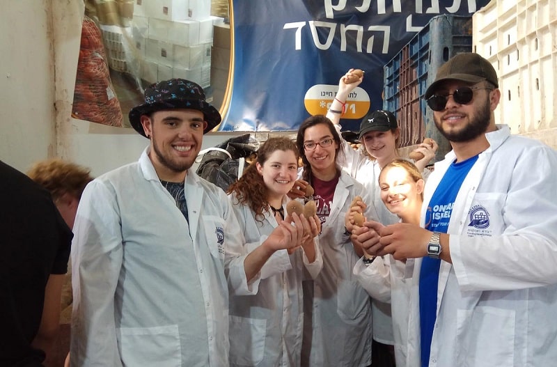 Onward Interns - Chabad